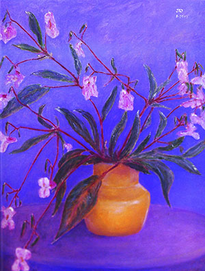 ไม่ปรากฏชื่อ