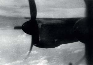 ไม่ปรากฏชื่อ